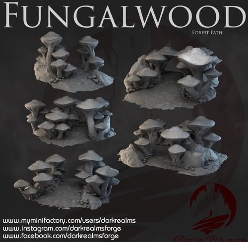Sentieri forestali legno - forestali, di