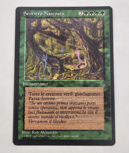 Sentiero nascosto buio - sentiero,